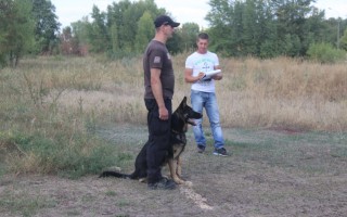 "Кубок АльКор - 2015"