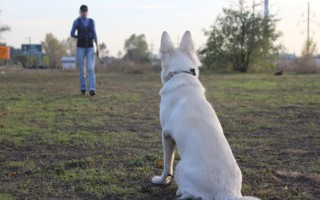 Площадка Троещина